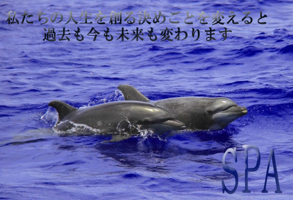 SPA_Top_image
